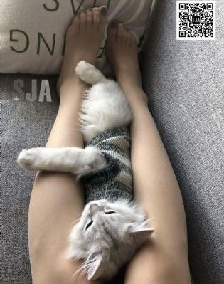 头像欧美沙雕_1080P电影在线看